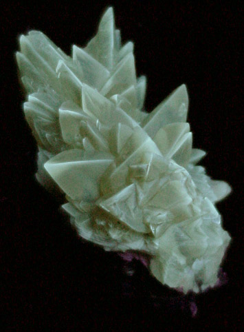 Calcite lining fossilized clam shell from Ruck's Pit Quarry, Fort Drum, Okeechobee County, Florida