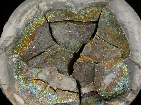 Pyrite var. Rainbow Pyrite from Volga River near Ulyanovsk, Ulyanovsk Oblast', Russia