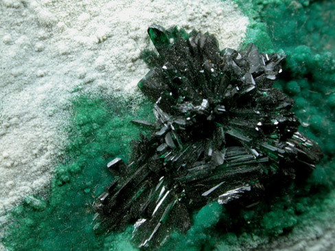 Atacamite with Halloysite from Mina la Farola, Copiapo, Atacama Desert, Chile (Type Locality for Atacamite)