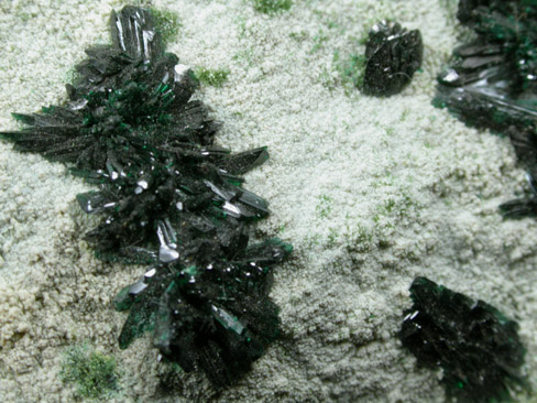 Atacamite with Halloysite from Mina la Farola, Copiapo, Atacama Desert, Chile (Type Locality for Atacamite)