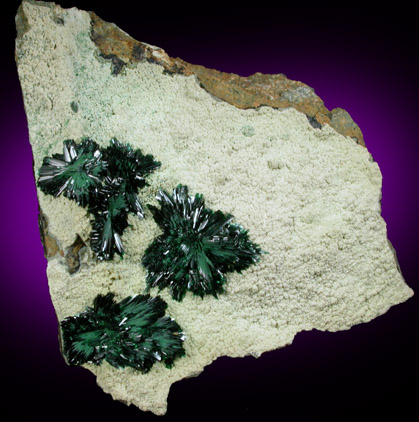 Atacamite with Halloysite from Mina la Farola, Copiapo, Atacama Desert, Chile (Type Locality for Atacamite)