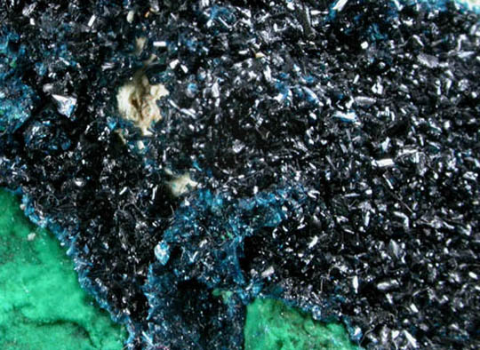 Clinoclase and Cornwallite from Majuba Hill, Pershing County, Nevada