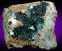 Clinoclase and Cornwallite from Majuba Hill, Pershing County, Nevada