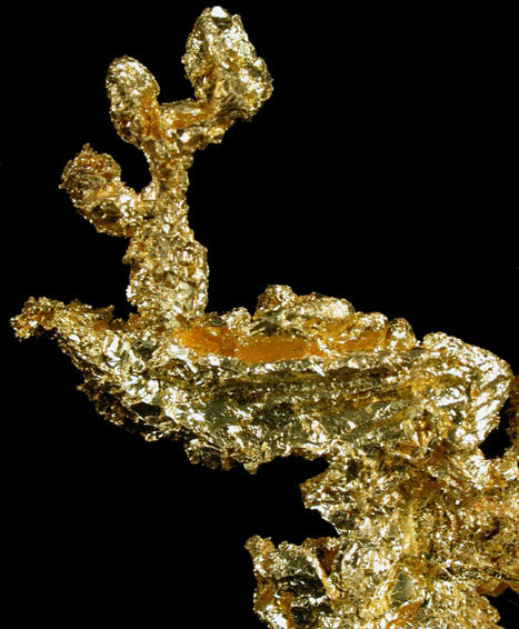 Gold from Mockingbird Mine, Mariposa County, California