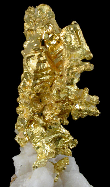 Gold in Quartz from Mockingbird Mine, Mariposa County, California