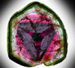 Liddicoatite Tourmaline from Alakamisy Itenina, south of Antsirabe, Fianarantsoa, Haute Matsiatra, Madagascar (Type Locality for Liddicoatite = near Antsirab)