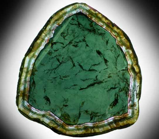 Liddicoatite Tourmaline from Alakamisy Itenina, south of Antsirabe, Fianarantsoa, Haute Matsiatra, Madagascar (Type Locality for Liddicoatite = near Antsirab)