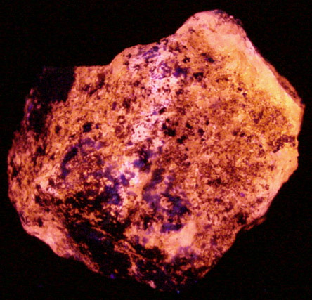Richterite from Långban Mine, Filipstad, Värmland, Sweden (Type Locality for Richterite)