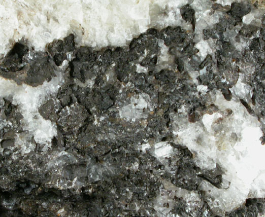 Cesarolite with Calcite from Sidi Amor ben Salem Mine, Al Kåf, Tunisia (Type Locality for Cesarolite)