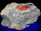 Chabourneite and Realgar from Jas Roux, Pelvoux Mountain, Valgaudemar, Hautes-Alpes, France (Type Locality for Chabourneite)