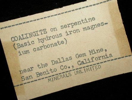 Coalingite on Serpentine from near Dallas Gem Mine, New Idria District, San Benito County, California (Type Locality for Coalingite)