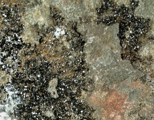 Goldmanite and Andradite Garnet from Sandy Wash Mining Area, Laguna District, Cibola County, New Mexico (Type Locality for Goldmanite)