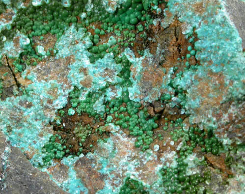 Mcguinnessite with Malachite from Red Mountain District, Mendocino County, California (Type Locality for Mcguinnessite)