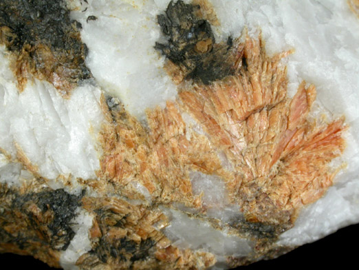 Tinzenite and Braunite from Parsettens Alp, Tinizong, Grischun (Graubünden), Switzerland (Type Locality for Tinzenite and Braunite)