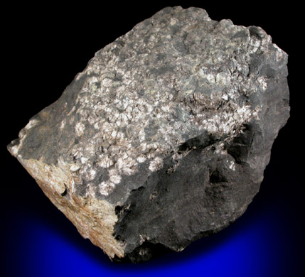 Messelite from Messel Mine, 9 km NE of Darmstadt, Hessen, Germany (Type Locality for Messelite)