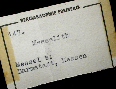 Messelite from Messel Mine, 9 km NE of Darmstadt, Hessen, Germany (Type Locality for Messelite)