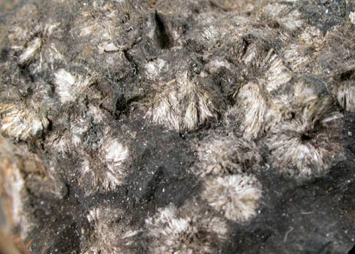 Messelite from Messel Mine, 9 km NE of Darmstadt, Hessen, Germany (Type Locality for Messelite)