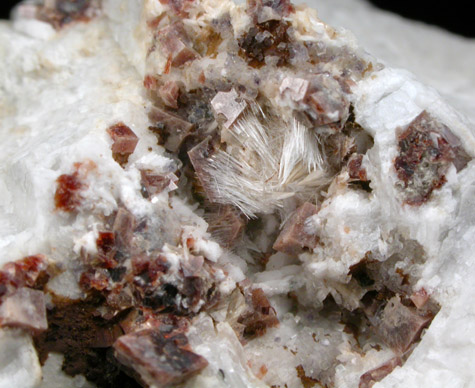 Perraultite and Leifite from Poudrette Quarry, Mont Saint-Hilaire, Qubec, Canada (Type Locality for Perraultite)