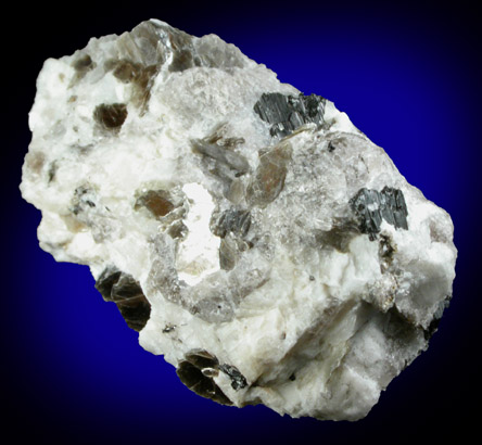 Tanteuxenite-(Y), var. Delorenzite from Piano dei Lavonchi, Val Vigezzo, Piedmont, Italy (Type Locality for Delorenzite)