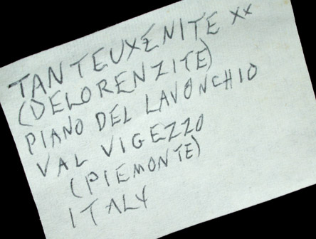 Tanteuxenite-(Y), var. Delorenzite from Piano dei Lavonchi, Val Vigezzo, Piedmont, Italy (Type Locality for Delorenzite)