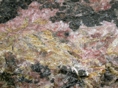 Wöhlerite and Ferro-edenite var. Barkevikite from Langesundsfjorden, Sandoya Island, Porsgrunn, Norway (Type Locality for Wöhlerite)