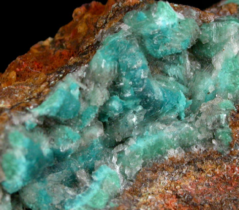 Rosasite from Rosas Mine, Narcao, Carbonia-Iglesias Province, Sardinia, Italy (Type Locality for Rosasite)