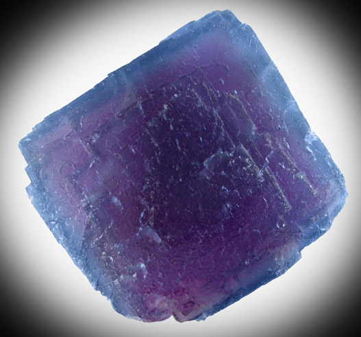 Fluorite from Fish Stick Prospect, Blanchard Mine Group, Hansonburg District, 8.5 km south of Bingham, Socorro County, New Mexico