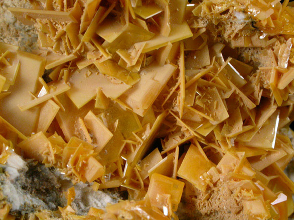 Wulfenite from Bad Bleiberg, Carinthia, Austria (Type Locality for Wulfenite)