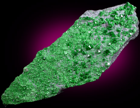 Uvarovite Garnet from Saranovskoye Mine, Sarany, Permskaya Oblast', Ural Mountains, Russia (Type Locality for Uvarovite)