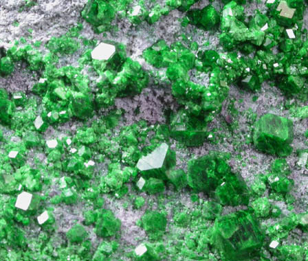 Uvarovite Garnet from Saranovskoye Mine, Sarany, Permskaya Oblast', Ural Mountains, Russia (Type Locality for Uvarovite)