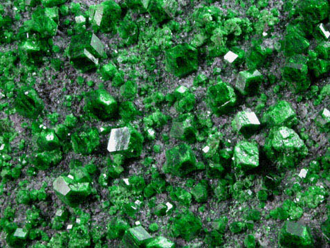 Uvarovite Garnet from Saranovskoye Mine, Sarany, Permskaya Oblast', Ural Mountains, Russia (Type Locality for Uvarovite)