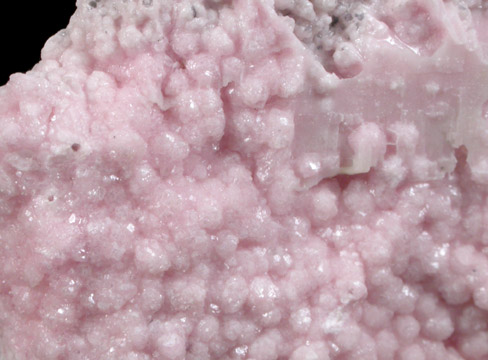 Rhodochrosite from Philipsburg District, Granite County, Montana