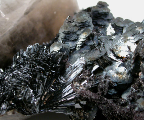 Goethite, Hematite and Smoky Quartz from Claim #2, Lake George District, Park County, Colorado
