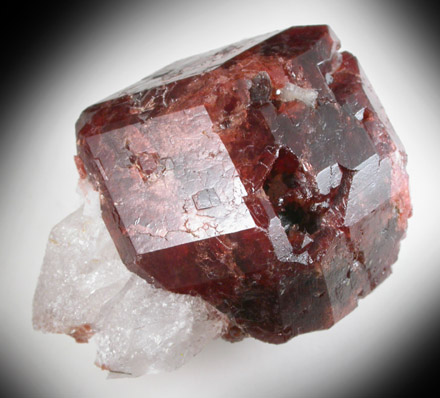 Almandine-Spessartine Garnet with Albite and Quartz from Chhamachu, Gilgit-Skardu Road, Gilgit-Baltistan, Pakistan