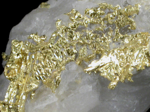 Gold in Quartz from Mariposa County, California