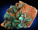 Gypsum with Malachite inclusions from Touissit Mine, 21 km SSE of Oujda, Jerada Province, Oriental, Morocco