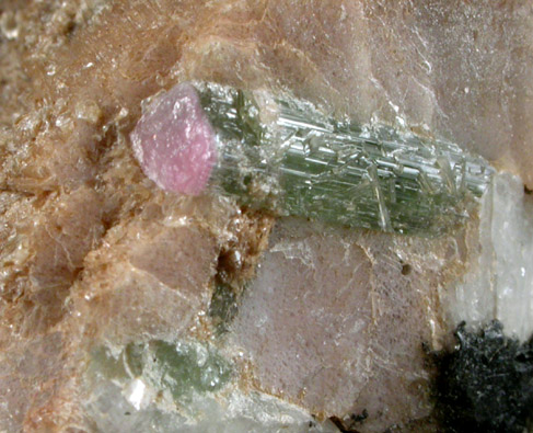 Muscovite with Elbaite from Haddam Neck, Middlesex County, Connecticut