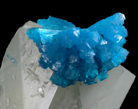 Calcite with Cavansite from Wagholi Quarry, Maharashtra, India