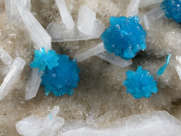 Cavansite on Stilbite from Wagholi Quarry, Maharashtra, India