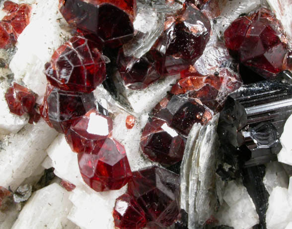 Spessartine Garnet on Schorl Tourmaline, Albite, Muscovite from Gilgit-Skardu Road, Gilgit-Baltistan, Pakistan