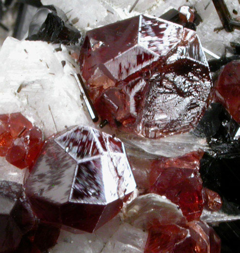 Spessartine Garnet on Schorl Tourmaline, Albite, Muscovite from Gilgit-Skardu Road, Gilgit-Baltistan, Pakistan