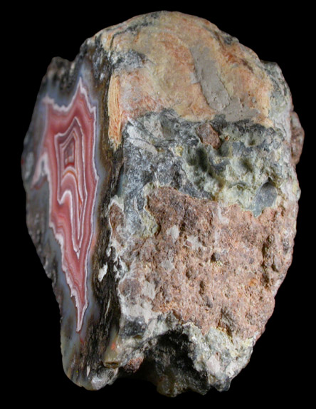 Quartz var. Laguna Agate from Ojo Laguna, Ahumada, Chihuahua, Mexico