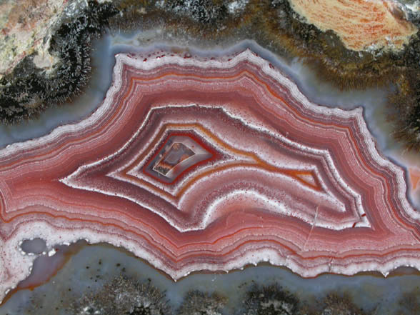 Quartz var. Laguna Agate from Ojo Laguna, Ahumada, Chihuahua, Mexico