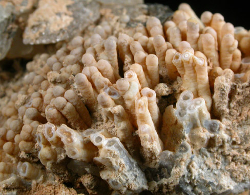 Quartz pseudomorphs after Natrolite from Randsburg Wash, Kern County(?), California