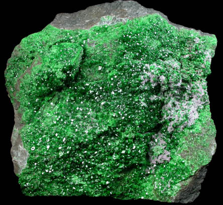 Uvarovite Garnet from Saranovskoye Mine, Sarany, Permskaya Oblast', Ural Mountains, Russia (Type Locality for Uvarovite)