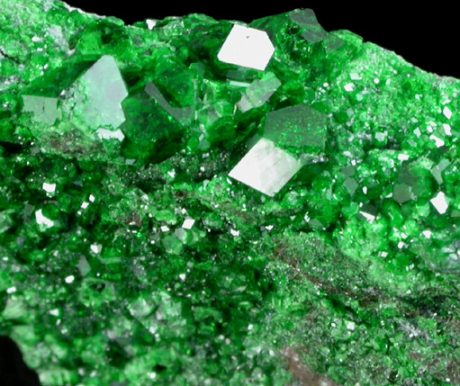 Uvarovite Garnet from Saranovskoye Mine, Sarany, Permskaya Oblast', Ural Mountains, Russia (Type Locality for Uvarovite)