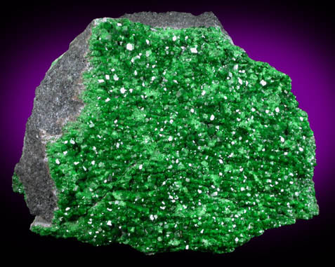 Uvarovite Garnet from Saranovskoye Mine, Sarany, Permskaya Oblast', Ural Mountains, Russia (Type Locality for Uvarovite)