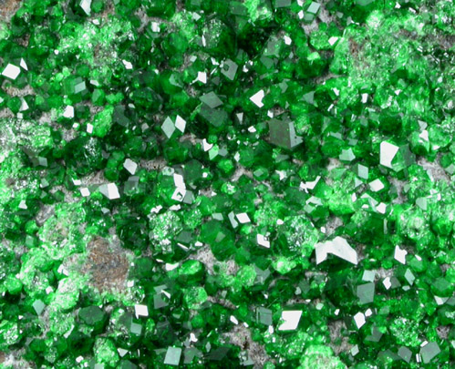 Uvarovite Garnet from Saranovskoye Mine, Sarany, Permskaya Oblast', Ural Mountains, Russia (Type Locality for Uvarovite)