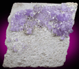 Fluorapatite on Albite from Laghman Province, Afghanistan