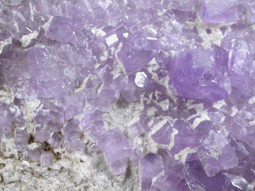 Fluorapatite on Albite from Laghman Province, Afghanistan